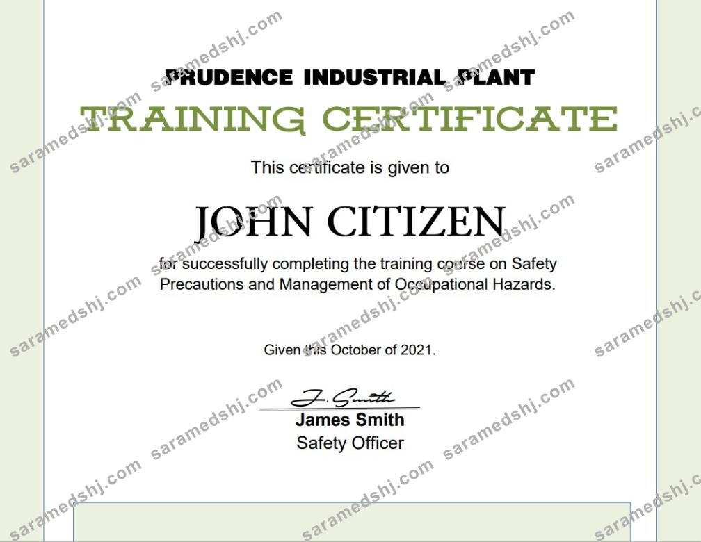 USA Training certificate template in Word and PDF format, version 2